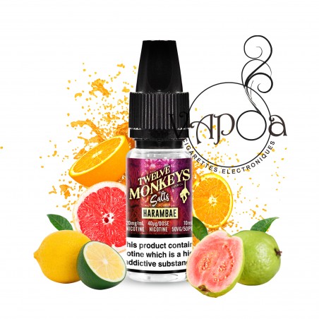 Liquide HARAMBAE SALT 10 ML - TWELVE MONKEYS