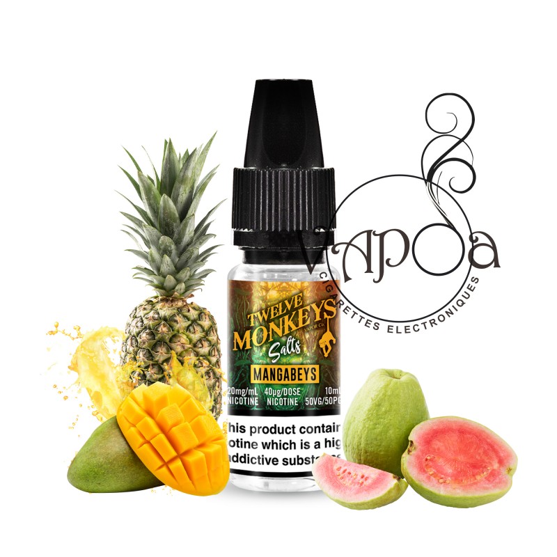 E LIQUIDE MANGABEYS SALTS 10 ML - TWELVE MONKEYS E LIQUIDE MANGABEYS SALTS 10 ML - TWELVE MONKEYS