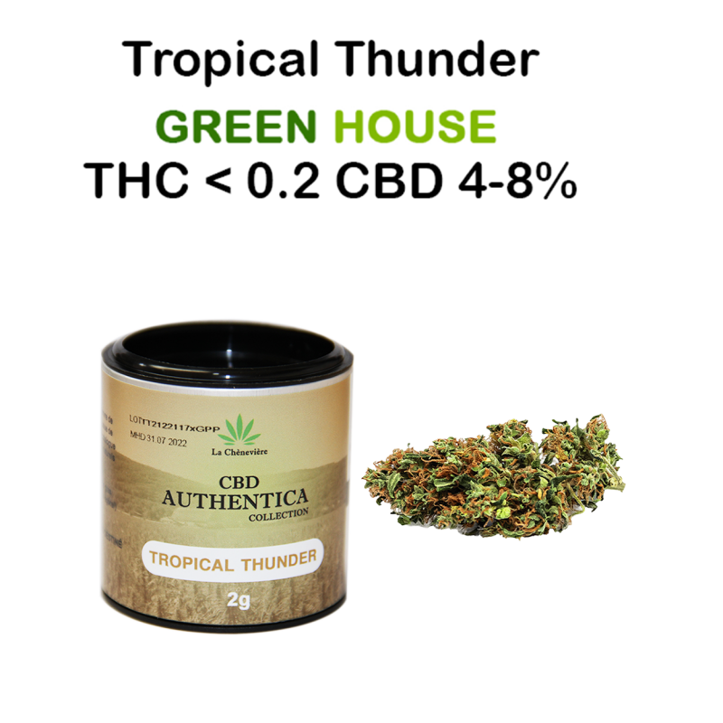 Fleur de CBD Tropical Thunder Authentica - La Chènevière CBD