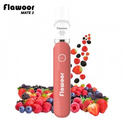 KIT FRUITS ROUGES - FLAWOOR MATE 2