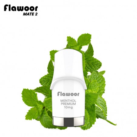 CARTOUCHE MENTHOL PREMIUM / 2PCS - FLAWOOR MATE 2